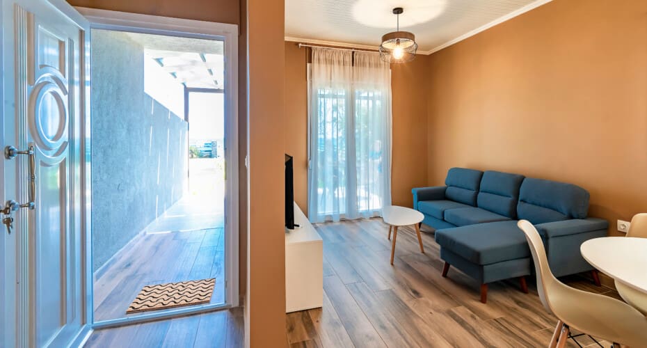 Living room and main entrance