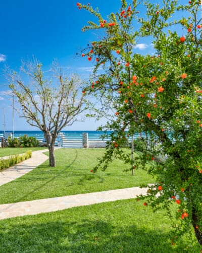 Sea view from the garden