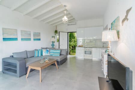 Living room and kitchen