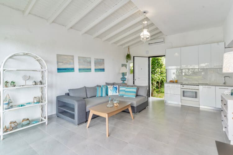 Living room and kitchen