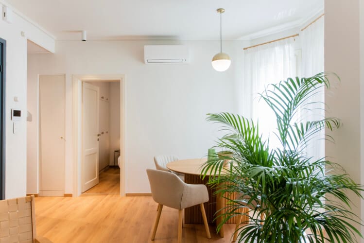 Dining area with plant decoration