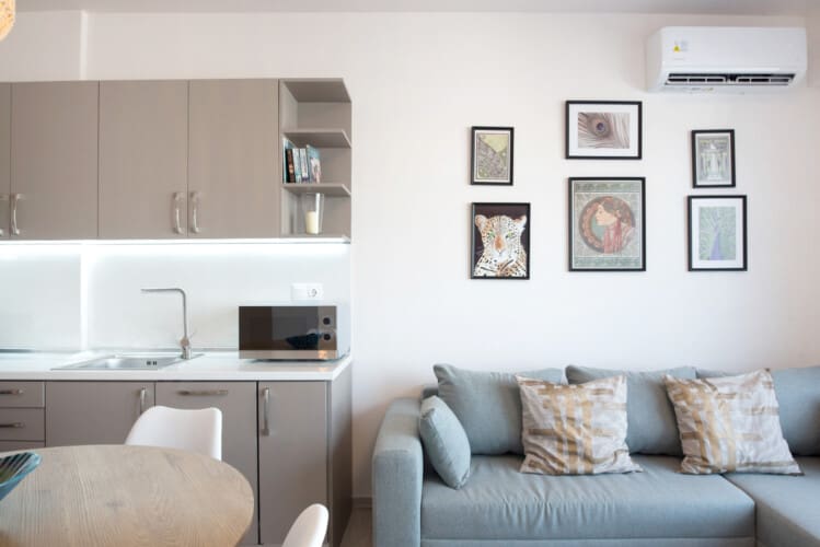 Living room and kitchen