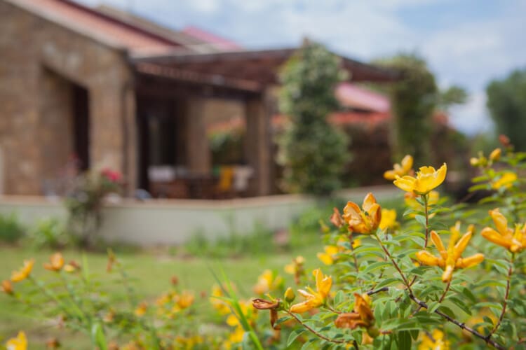 Villa with garden view
