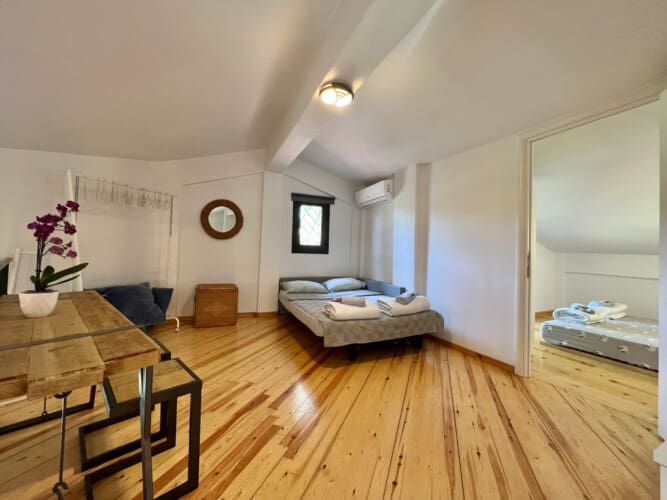 Living room with sofa bed